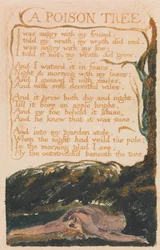 Songs of Innocence and of Experience, Plate 41, A Poison Tree (Bentley 49)